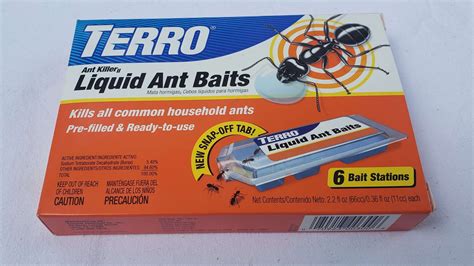 Do Ants Carry Disease? - Conquer Critters