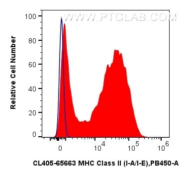 MHC Class II (I-A/I-E) antibody (CL405-65663) | Proteintech