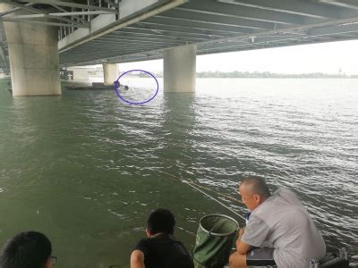 市民报警：有人坠入大运河 渔民打捞数小时未见男子踪影|男子|大运河|搜救_新浪新闻