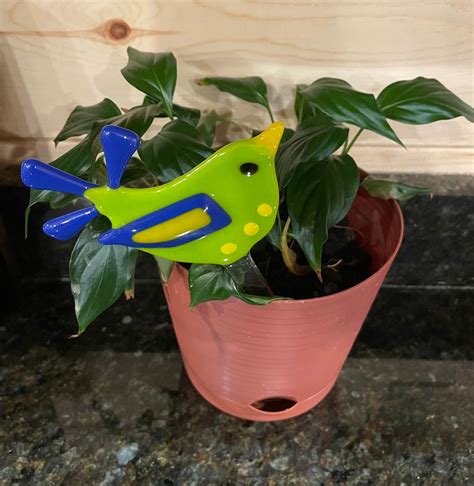 Fused Glass “Funky Bird” Class, Dogwood Exchange LLC, Crossville, 12 ...