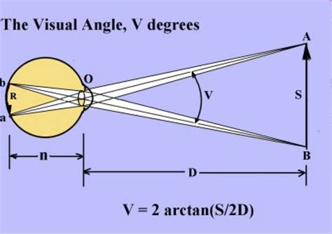Monocular cues for depth perception