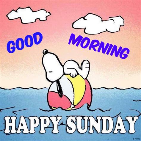 Its Sunday Funny Quotes