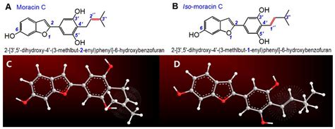 Effect of Double Bond Position on 2-Phenyl-benzofuran Antioxidants: A ...