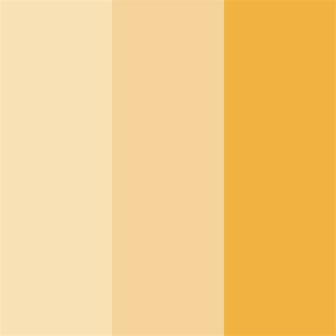 Light Cream Color Palette - ColorDrop