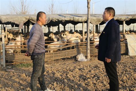 东明农商银行：信贷扶持养羊户 打通产业致富路_县域经济网