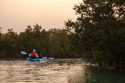https://images.squarespace-cdn.com/content/v1/62e65e084f5d1a794ba0e886/f910106e-afcd-4ec5-a85d-1dcab93b5f31/Kayaking%2BCwN-55.jpg