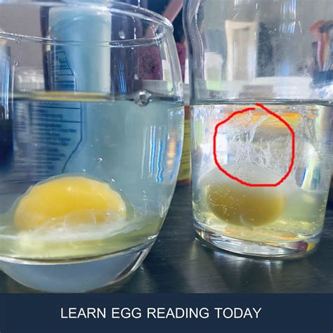 Cleanse with egg: interpretation and meaning 2020 | Ritual Magic Spells ...