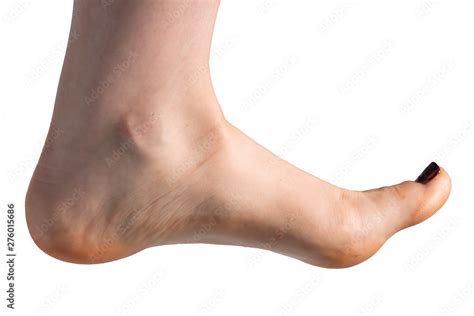Image result for Front View of Toe