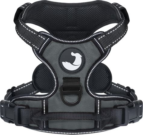 Amazon.com : Joytale No Pull Dog Harness for Small Dogs, Reflective Pet ...