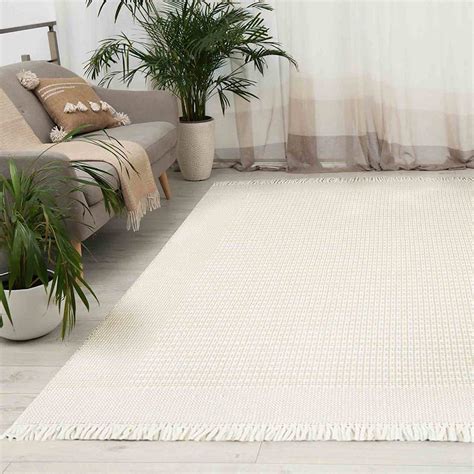 (B818) Honeybloom Newton Ivory Flatweave Accent Rug, 3x5