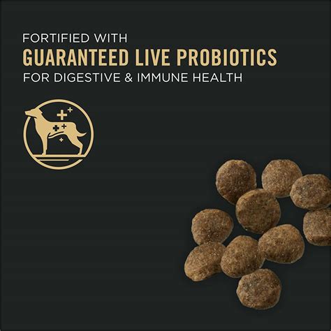 Purina Pro Plan Puppy Sensitive Skin & Stomach Salmon & Rice Dry Dog ...
