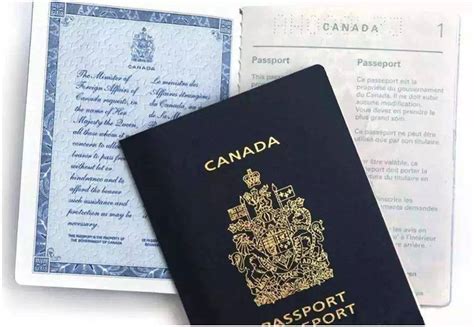 移民攻略 | 加拿大枫叶卡申请条件+申请流程+枫叶卡照片拍摄做片细节与标准_审查