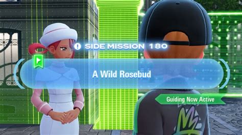 Rosebud Pokemon Ketchum