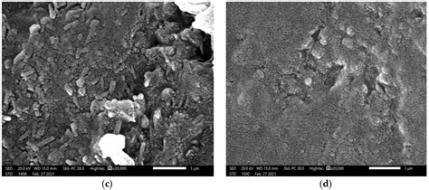 Understanding the Effect of Introducing Micro- and Nanoparticle Bismuth ...