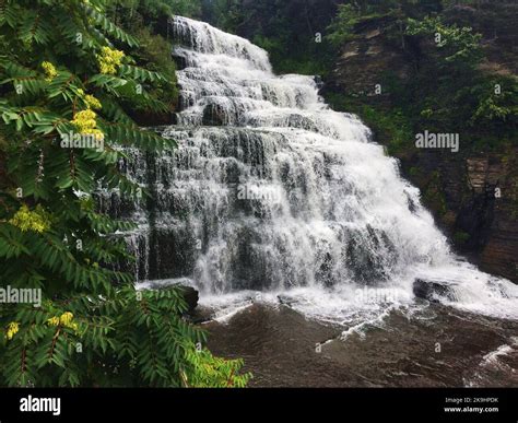 Sumac bushes grow on the side of the canyon next to Hector Falls ...