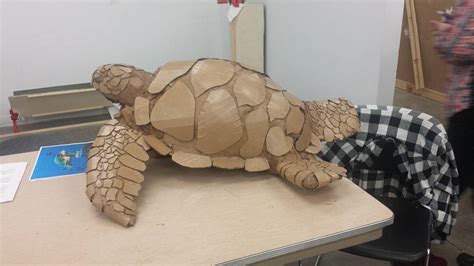 Image result for Cardboard Turtle Shell