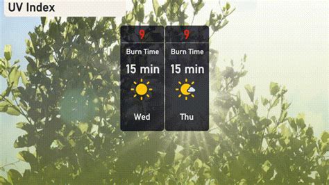 Sunny Days Ahead: Your Comprehensive NYC Weather Forecast for June 11 ...