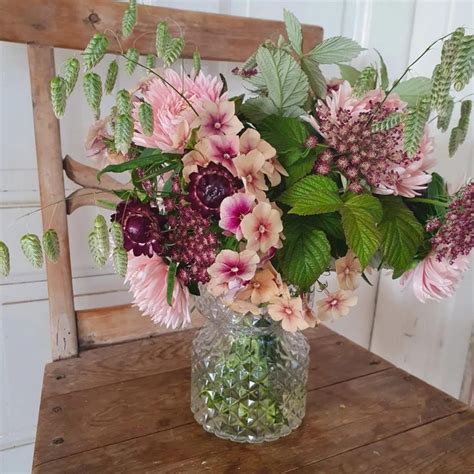 july flower plant