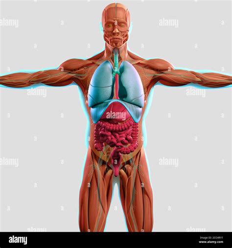 Image result for Body Control Module