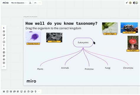 Basics of Using Miro 的图像结果