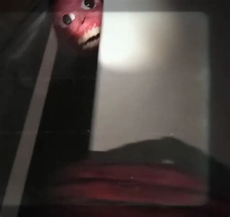 Image result for Splendor Back Side-Panel