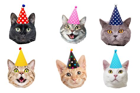 6x Kitty Cats in Party Hats Cupcake Toppers Happy Birthday - Etsy UK ...