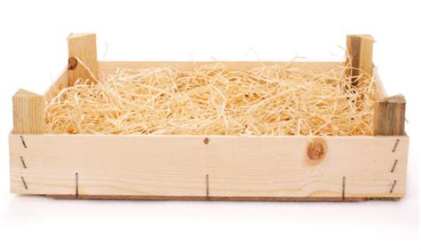 Explanation of paragraphs 20-23 — lesson. English Language CBSE, Class 9.