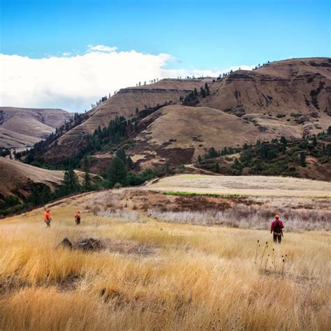 Flying B Ranch Wingshooting Lodge in Idaho | Orvis