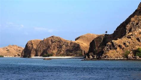 Komodo Island: A Guide To Explore The Land Of Dragons