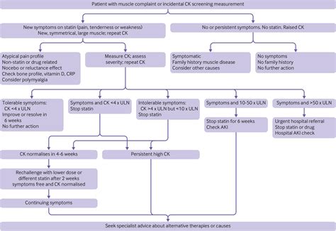 Creatine Kinase Pathway at Rebecca Leon blog