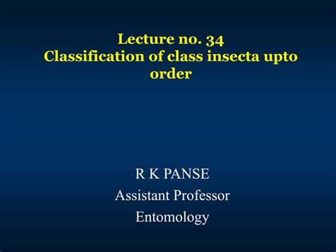 Image result for Class Insecta