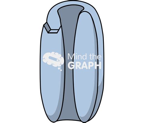 Image result for Complex Channel