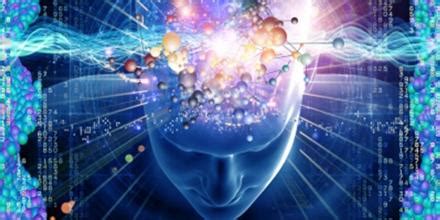 Image result for Humans Intelligence Evolution