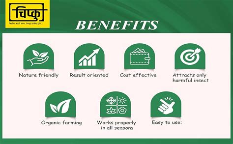 Chipku Funnel Trap with Heli Lure Pack of 50 (Helicoverpa Armigera ...