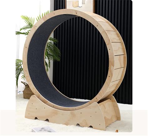 Buy LCTTLLY Cat Exercise Wheel – Running, Spinning, and Scratching Fun ...