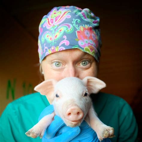 Image result for Computer Network Monitor Pork