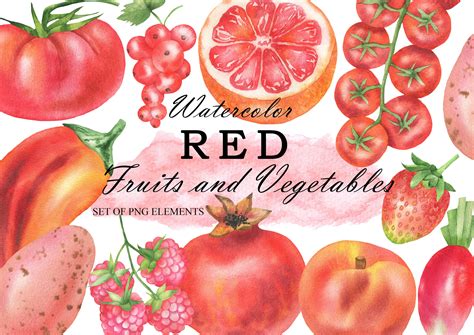 Watercolor Red Fruit and Vegetables Clipart Farm and Kitchen - Etsy