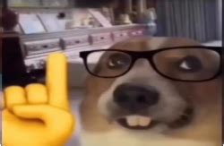 Image result for Android Sound Effect MP3