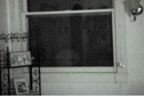 Image result for Alien in His Window