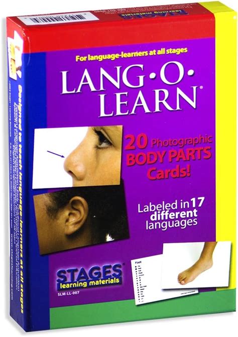 Stages Learning Materials Lang-O-Learn ESL Body India | Ubuy