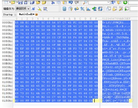 Forensic Shellcode 的图像结果