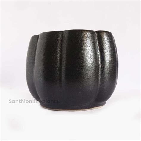 Pumpkin Ceramic Black(Medium) – Santhi Online Plants