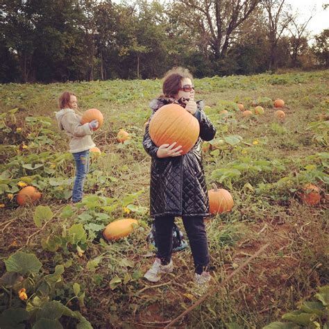 Review of Morgan's Run Pumpkin Patch and Corn Maze - Louisville Family Fun