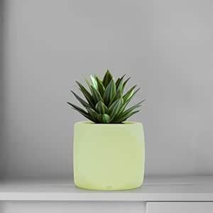 BLOOMBUDDY® Aero Pale Green Ceramic Planter Pot – 9 cm × 9 cm | Mint ...