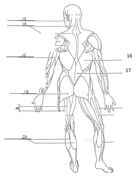 Back 的图像结果