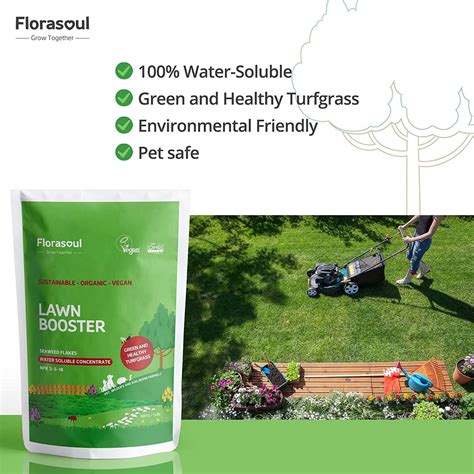 Organic Green: Get Yourself the Best Organic Lawn Fertilizer for a Lush ...