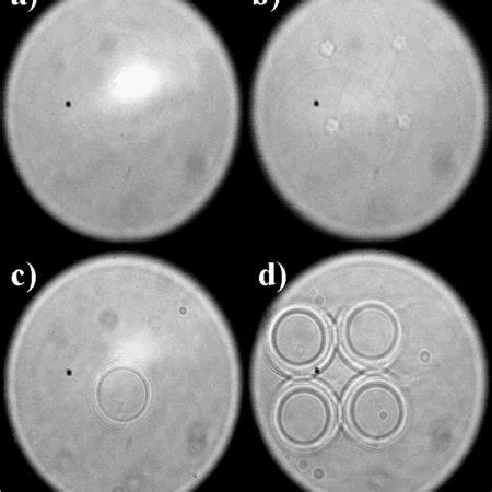 Image result for Two-Photon Polymerization