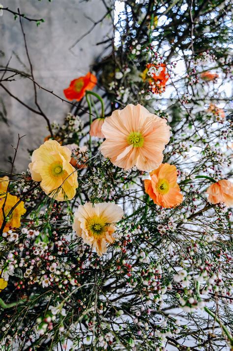 JASON WU RUNWAY – FW 22 – Emily Thompson Flowers