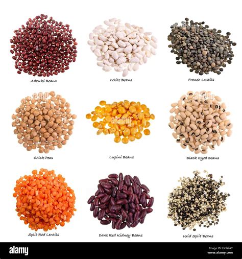 How To Identify Leguminous Plants at Juan Maguire blog