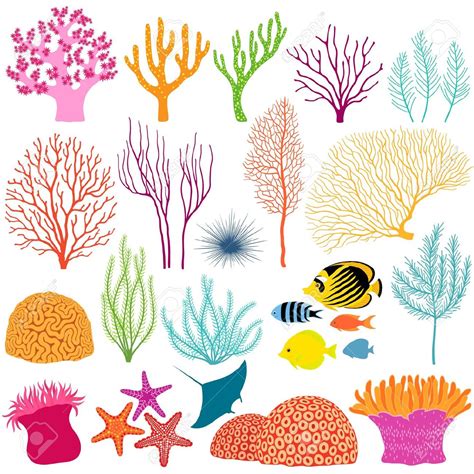 Reef clipart 20 free Cliparts | Download images on Clipground 2025